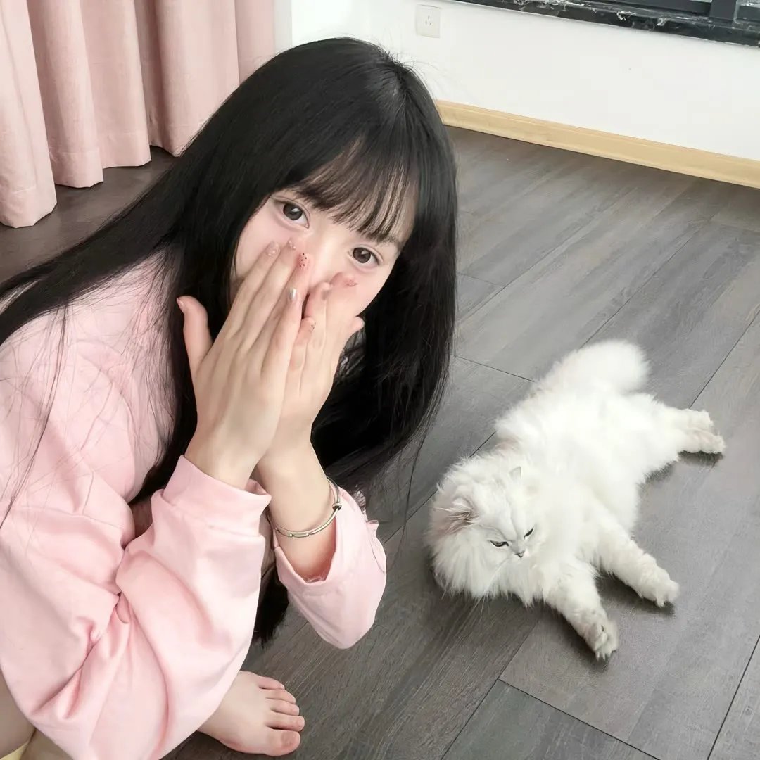 骨瓷2019